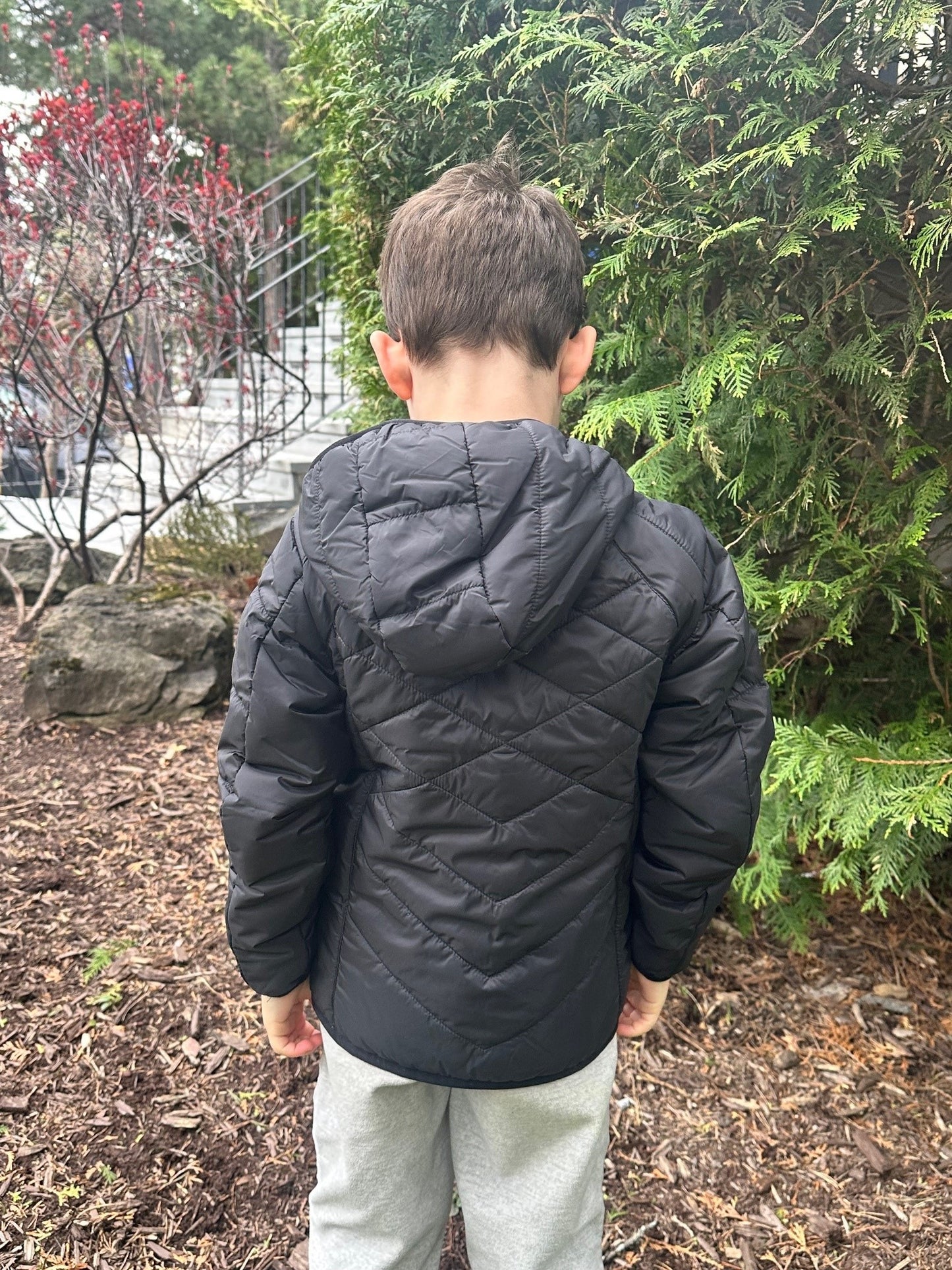 Strobus - Boys' Black Transitional Puffer Jacket