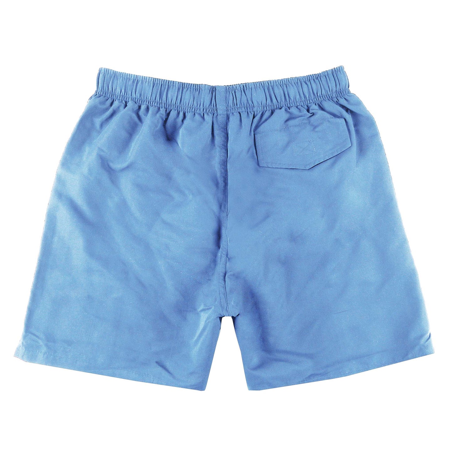 Ice Blue Boys Swimsuit Shorts