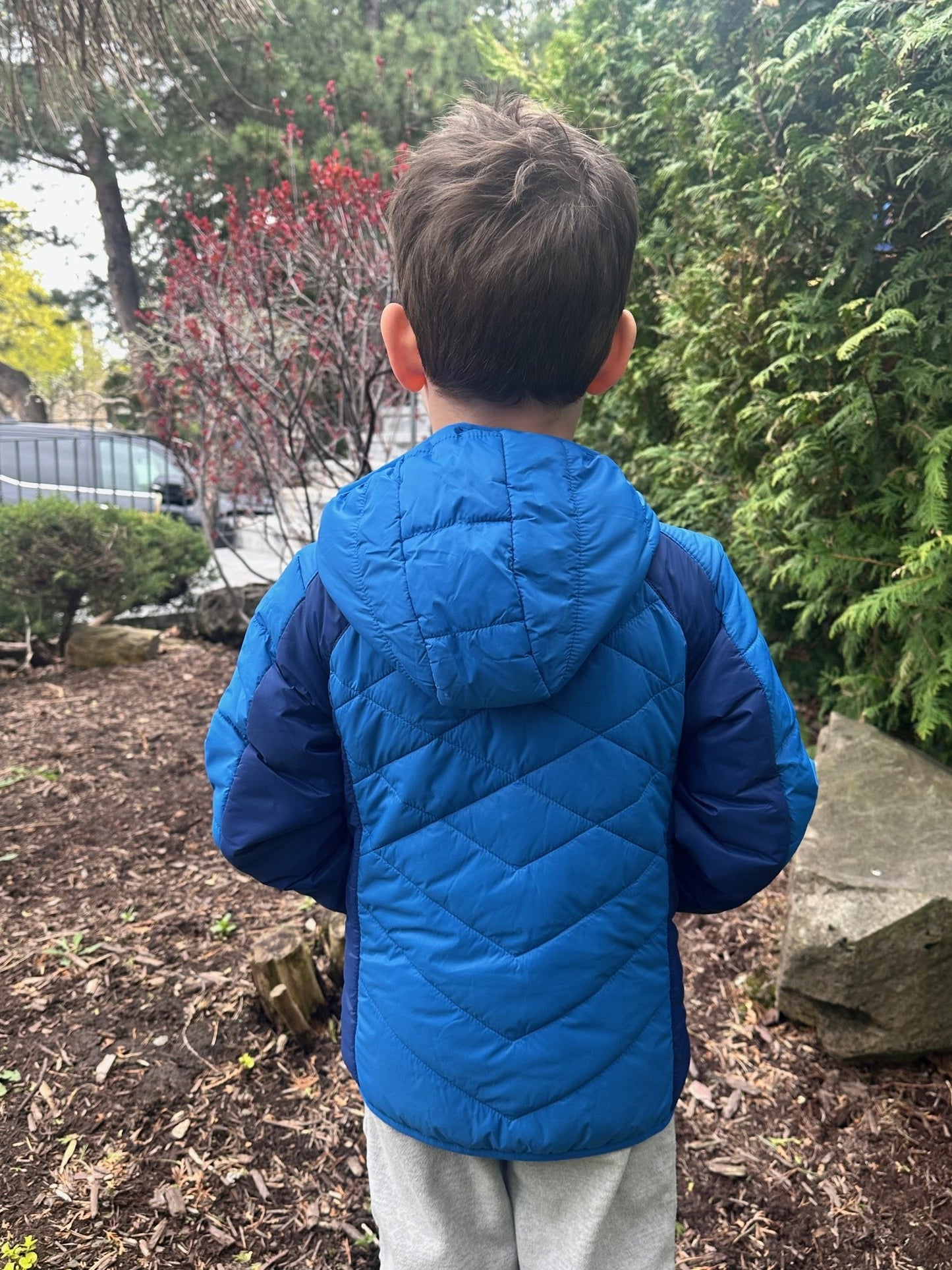 Strobus - Boys' Blue Transitional Puffer Jacket